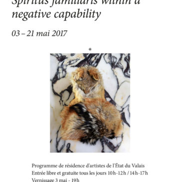 « Spiritus familiaris within a negative capability » de Marc Héron