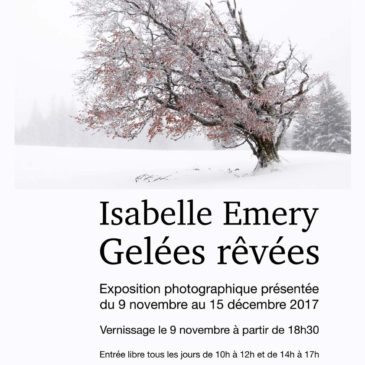 « Gelées rêvées »